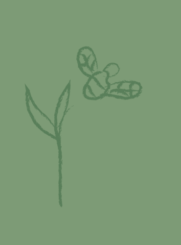 treninzi i konsultacije